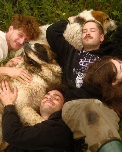 V l Malte Zeck Broder und Phia mit Tierheimhunden Credits Fabian Schmidt