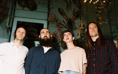 Landstreicher Konzert Agriculture C Olivia Crumb